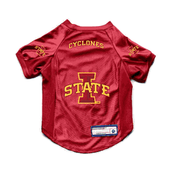 Iowa State Cyclones Pet Stretch Jersey L
