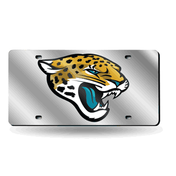 Jacksonville Jaguars  12