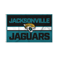 Jacksonville Jaguars Bold 3' x 5' Banner Flag