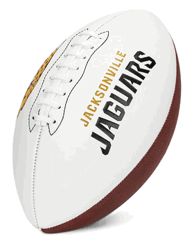 Jacksonville Jaguars Franklin NFL Team Signature Autograph White Panel Football