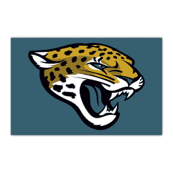 Jacksonville Jaguars HiDef Rookie Mat - 18in. X 30in.