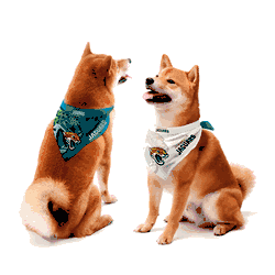 Jacksonville Jaguars Home and Away Pet Bandana Set Large