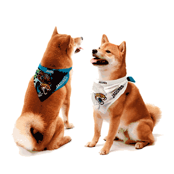 Jacksonville Jaguars Home and Away Pet Bandana Set Small