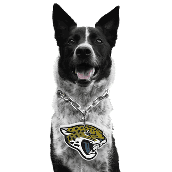 Jacksonville Jaguars Pet Fan Chain
