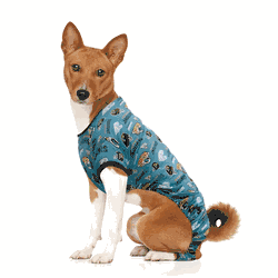 Jacksonville Jaguars Pet PJs Small