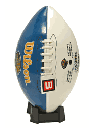 Jacksonville Jaguars Wilson Team Logo Football