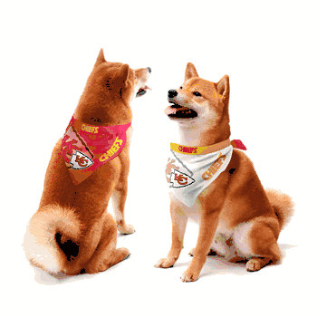 Kansas City Chiefs Home and Away Pet Bandana Set Large