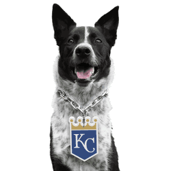 Kansas City Royals Pet Fan Chain