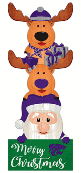 Kansas State Wildcats 31