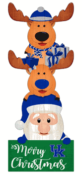 Kentucky Wildcats 31