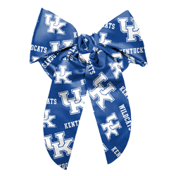 Kentucky Wildcats Big Bow