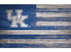 Kentucky Wildcats Distressed Flag 11x19