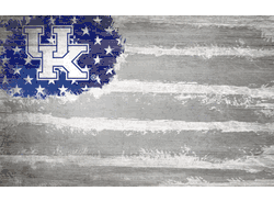Kentucky Wildcats Flag 11x19