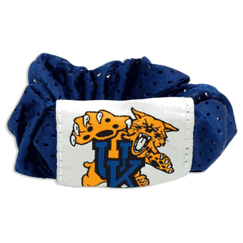 Kentucky Wildcats Hair Twist