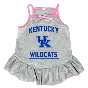 Kentucky Wildcats Pet Dress Grey Type XSmall