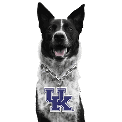 Kentucky Wildcats Pet Fan Chain