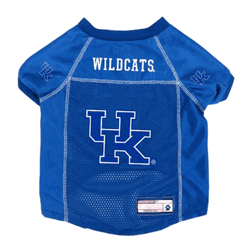 Kentucky Wildcats Pet Jersey Large
