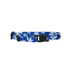 Kentucky Wildcats Pet Team Collar Large