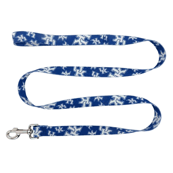 Kentucky Wildcats Pet Team Lead 1in x 60in