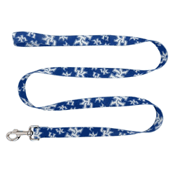 Kentucky Wildcats Pet Team Lead 1in x 60in