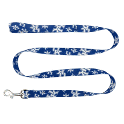 Kentucky Wildcats Pet Team Lead .75 x 60