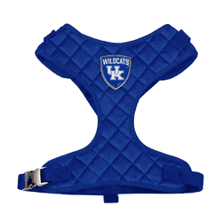Kentucky Wildcats Velvet Pet Harness - XL