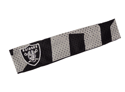 Las Vegas Raiders FanBand