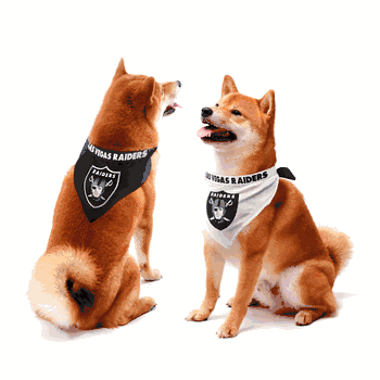 Las Vegas Raiders Home and Away Pet Bandana Set Medium