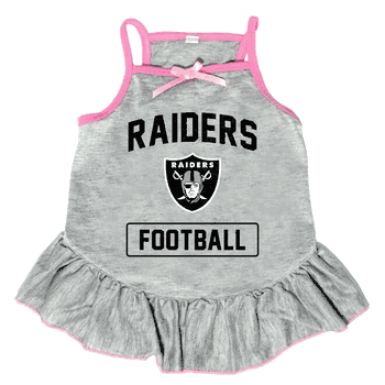 Las Vegas Raiders Pet Dress Grey Type Large