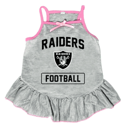 Las Vegas Raiders Pet Dress Grey Type Small