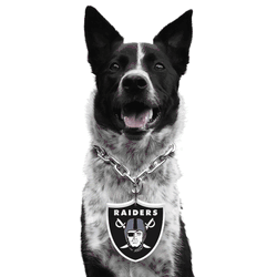 Las Vegas Raiders Pet Fan Chain