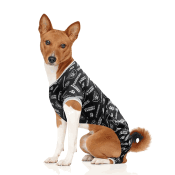 Las Vegas Raiders Pet PJs Large