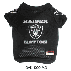 Las Vegas Raiders Pet Raglan Jersey - Medium