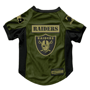 Las Vegas Raiders Valor Pet Stretch Jersey - XS
