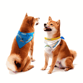 Los Angeles Chargers Home and Away Pet Bandana Set Small