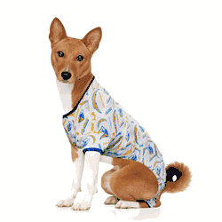 Los Angeles Chargers Pet PJs Large