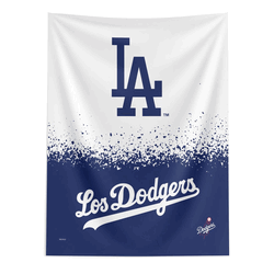 Los Angeles Dodgers MLB City Connect Wall Hanging