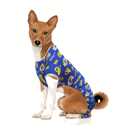 Los Angeles Rams Pet PJs Large