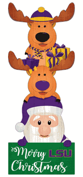 Louisiana State Tigers 31