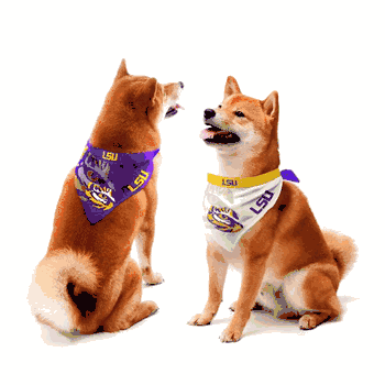 Louisiana State Tigers Home and Away Pet Bandana Set Large