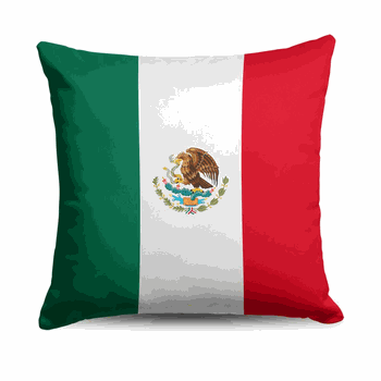 Mexico Flag Throw Pillow 18x18 inches