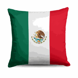 Mexico Flag Throw Pillow 18x18 inches