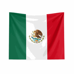 Mexico Flag Wall Hanging 34x40 inches