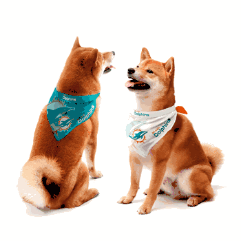 Miami Dolphins Home and Away Pet Bandana Set Large