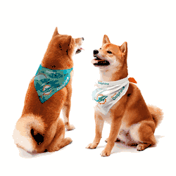 Miami Dolphins Home and Away Pet Bandana Set Small