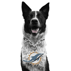 Miami Dolphins Pet Fan Chain