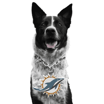 Miami Dolphins Pet Fan Chain