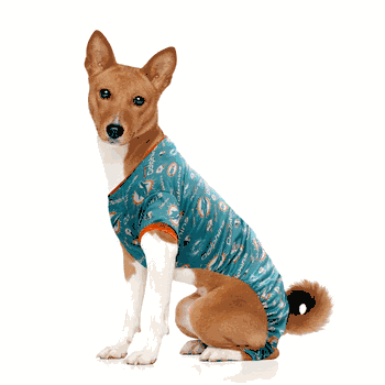 Miami Dolphins Pet PJs Large