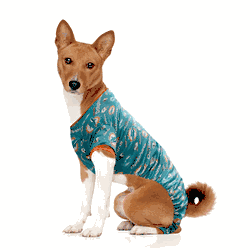 Miami Dolphins Pet PJs XL