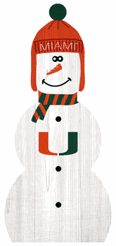 Miami Hurricanes 31